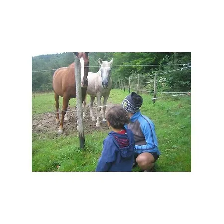 Eco-fachwerkhaus Nyaraló *
