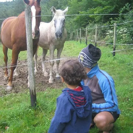 Nyaraló Eco-fachwerkhaus Lütz